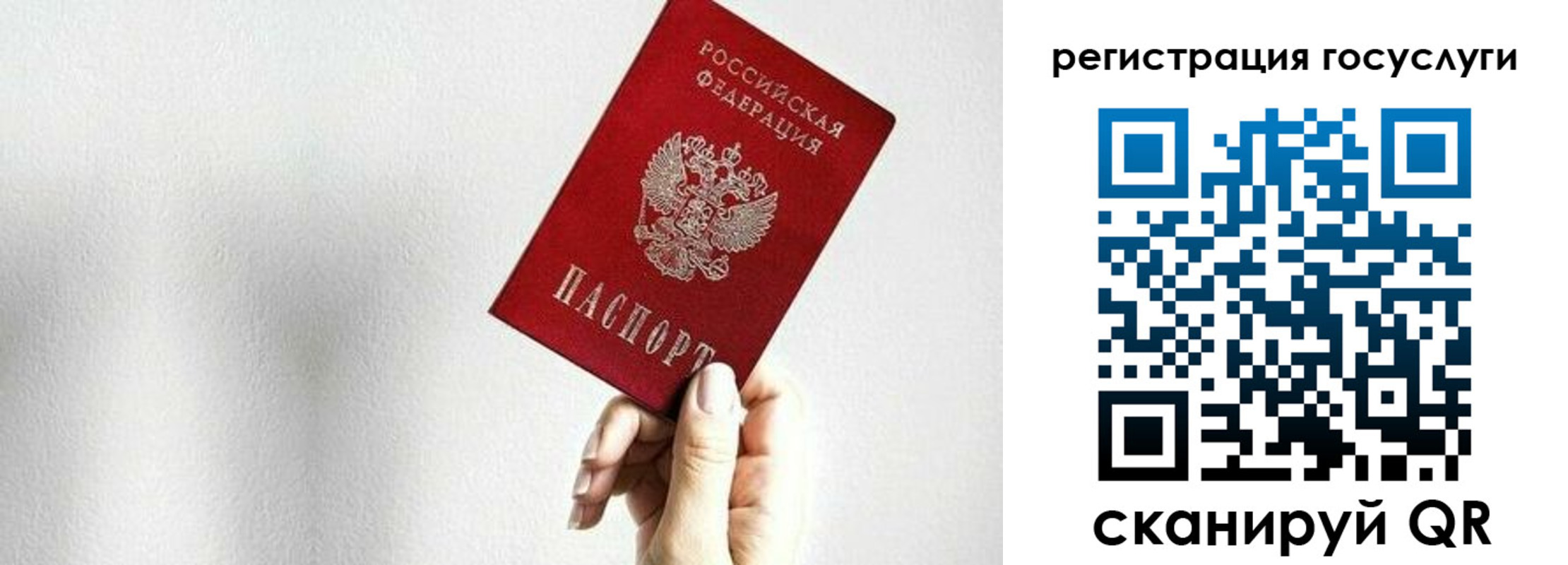временная регистрация гарантия в Кандалакше